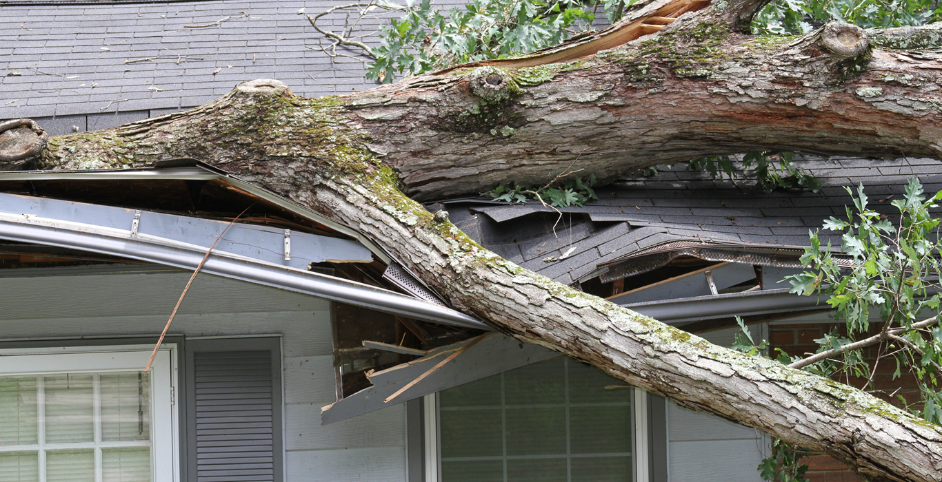 Photo of a roof that has been badly damaged by a large tree falling on it after a storm.