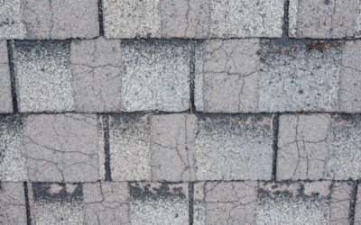 5 Signs That You Need a New Roof