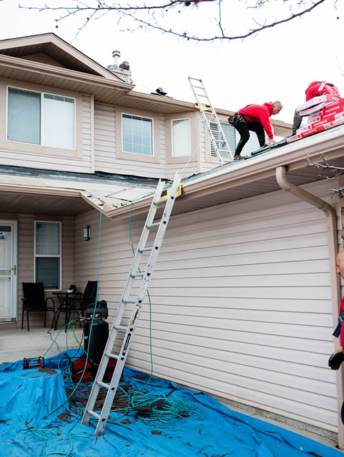 Photo of our roofers using a tarp to protect a residential walkway from roofing debris