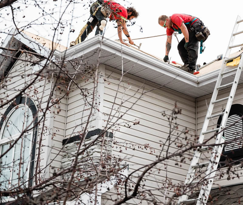 Photo of our roofers installing new starter stripping to a Calgary residential roof