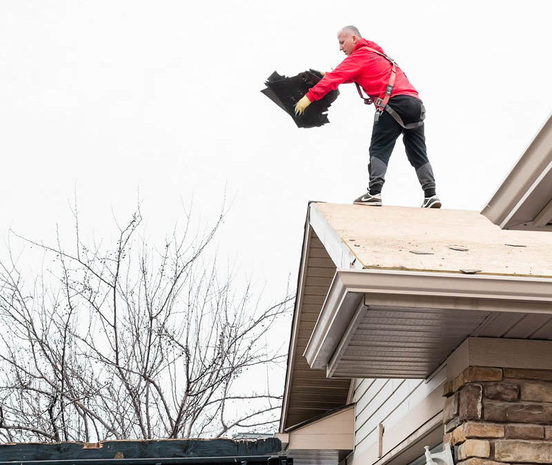 Photo of our roofers responsibly disposing of old shingle which is an important step for preparing your roof for fall.