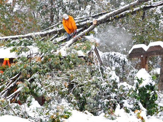 Photo of a man sawing branches off a fallen tree on his roof in the winter.