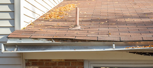 Photo of damaged roof shingles and fascia