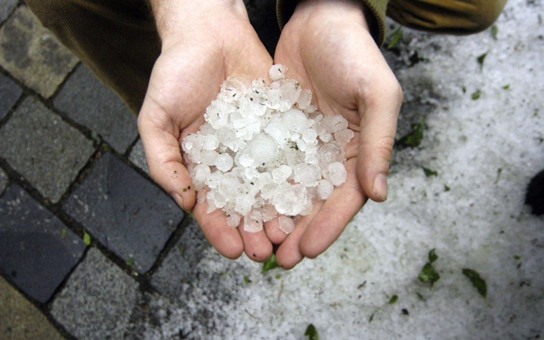 Hands holding hail after a hailstorm