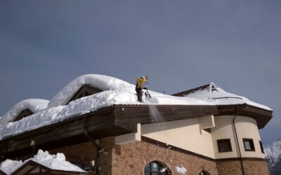 Spring Roof Maintenance